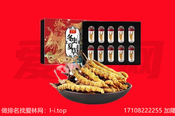 扬州市江都回收虫草.jpg
